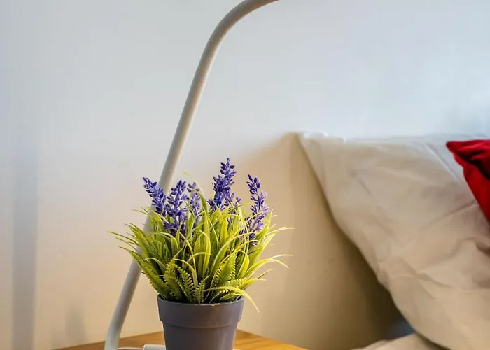 Choice Centric Daire